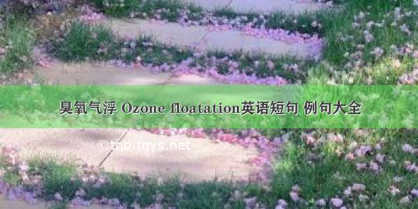 臭氧气浮 Ozone floatation英语短句 例句大全