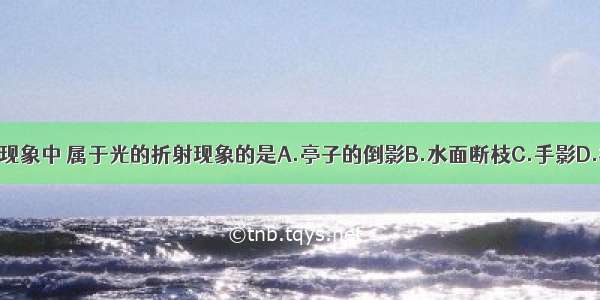 如图所示的现象中 属于光的折射现象的是A.亭子的倒影B.水面断枝C.手影D.林间的光线