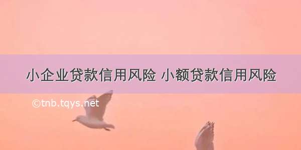 小企业贷款信用风险 小额贷款信用风险