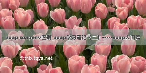 soap soapenv区别_soap学习笔记（二）-----soap入门篇