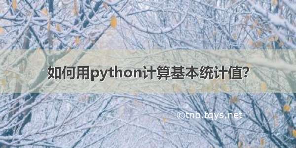 如何用python计算基本统计值？