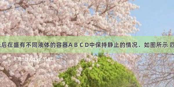 一个球 先后在盛有不同液体的容器A B C D中保持静止的情况．如图所示 四个容器中