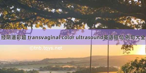 经阴道彩超 transvaginal color ultrasound英语短句 例句大全