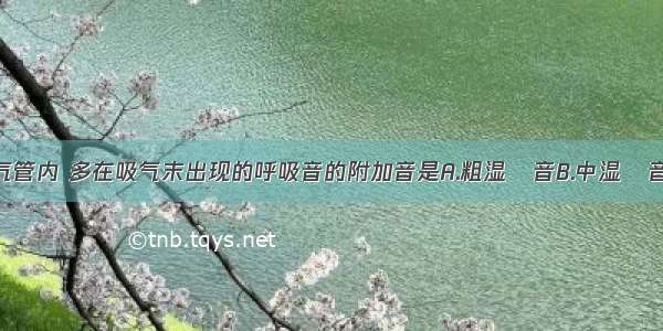 发生在小支气管内 多在吸气末出现的呼吸音的附加音是A.粗湿啰音B.中湿啰音C.细湿啰音