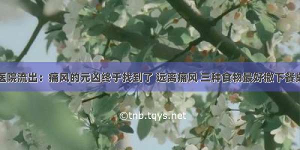 医院流出：痛风的元凶终于找到了 远离痛风 三种食物最好撤下餐桌