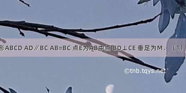 如图 直角梯形ABCD AD∥BC AB=BC 点E为AB中点 BD⊥CE 垂足为M．（1）求证：CM=4