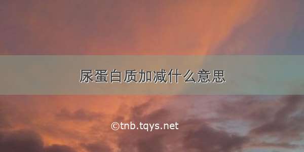 尿蛋白质加减什么意思