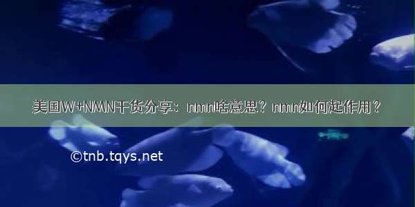 美国W+NMN干货分享：nmn啥意思？nmn如何起作用？