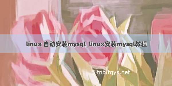 linux 自动安装mysql_linux安装mysql教程