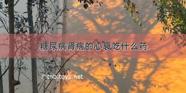 糖尿病肾病的心衰吃什么药