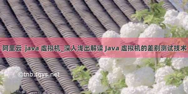 阿里云  java 虚拟机_深入浅出解读 Java 虚拟机的差别测试技术