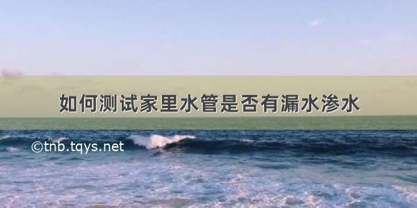 如何测试家里水管是否有漏水渗水