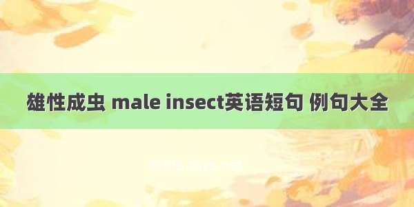 雄性成虫 male insect英语短句 例句大全