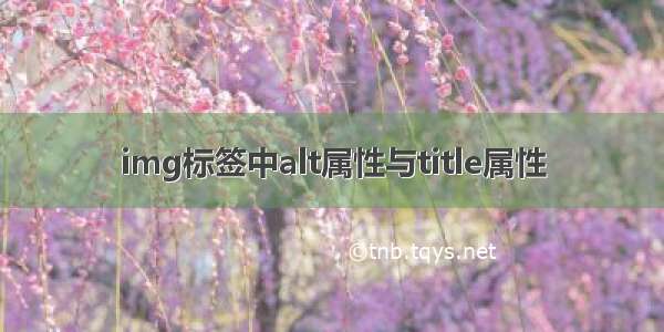 img标签中alt属性与title属性