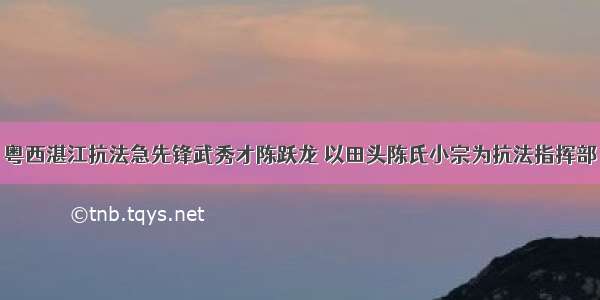 粤西湛江抗法急先锋武秀才陈跃龙 以田头陈氏小宗为抗法指挥部