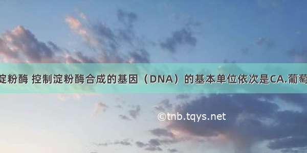 组成淀粉 淀粉酶 控制淀粉酶合成的基因（DNA）的基本单位依次是CA.葡萄糖 蛋白质 