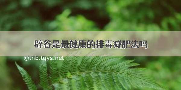 辟谷是最健康的排毒减肥法吗