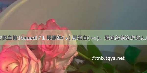 糖尿病患者空腹血糖14mmol／L 尿酮体(+) 尿蛋白(++)。最适合的治疗是A.双胍类降糖药