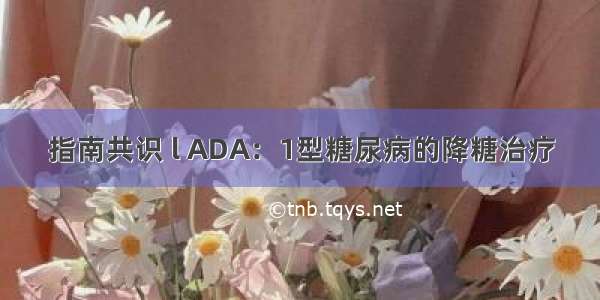 指南共识 l ADA：1型糖尿病的降糖治疗