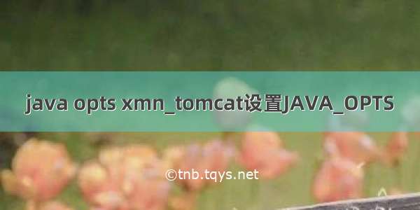 java opts xmn_tomcat设置JAVA_OPTS