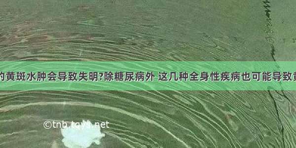 眼睛里的黄斑水肿会导致失明?除糖尿病外 这几种全身性疾病也可能导致黄斑水肿