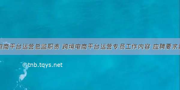 跨境电商平台运营总监职责 跨境电商平台运营专员工作内容 应聘要求和薪水