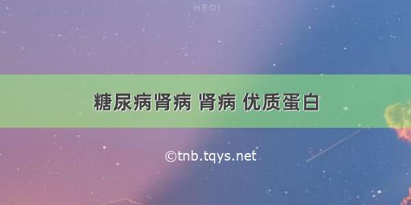 糖尿病肾病 肾病 优质蛋白