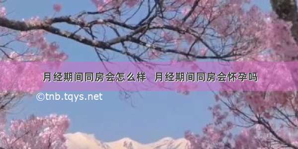 月经期间同房会怎么样   月经期间同房会怀孕吗