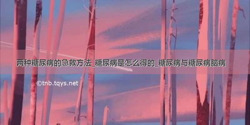 两种糖尿病的急救方法_糖尿病是怎么得的_糖尿病与糖尿病脑病