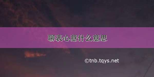 聊表心意什么意思