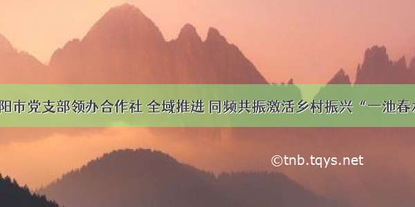 海阳市党支部领办合作社 全域推进 同频共振激活乡村振兴“一池春水”