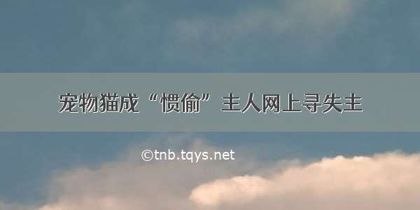 宠物猫成“惯偷”主人网上寻失主