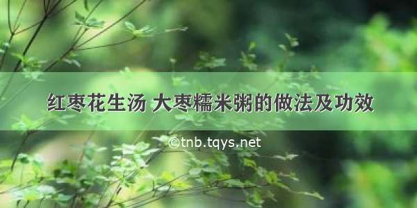 红枣花生汤 大枣糯米粥的做法及功效