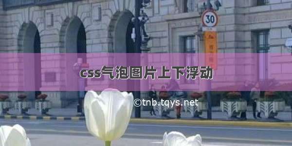 css气泡图片上下浮动