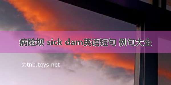 病险坝 sick dam英语短句 例句大全