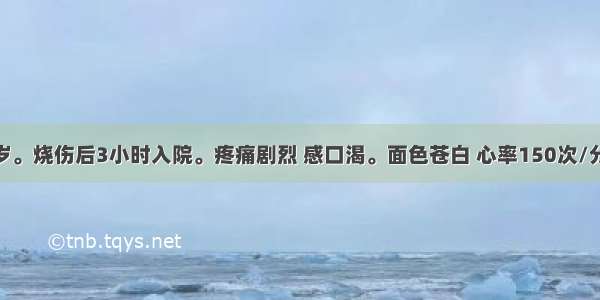 患者男 40岁。烧伤后3小时入院。疼痛剧烈 感口渴。面色苍白 心率150次/分 BP80/60