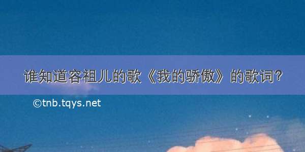 谁知道容祖儿的歌《我的骄傲》的歌词？