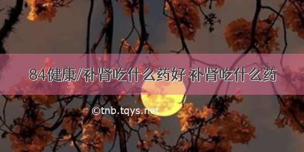 84健康/补肾吃什么药好 补肾吃什么药