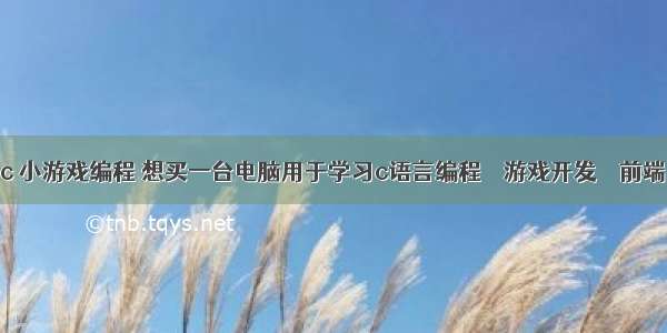 c 小游戏编程 想买一台电脑用于学习c语言编程 – 游戏开发 – 前端