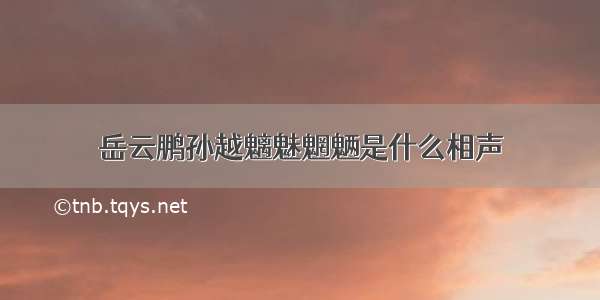 岳云鹏孙越魑魅魍魉是什么相声