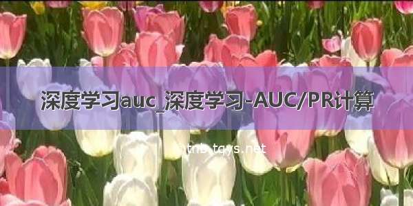 深度学习auc_深度学习-AUC/PR计算