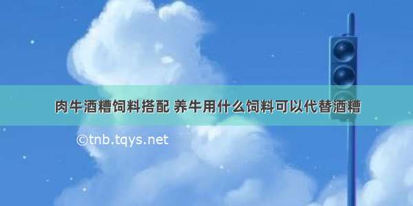 肉牛酒糟饲料搭配 养牛用什么饲料可以代替酒糟