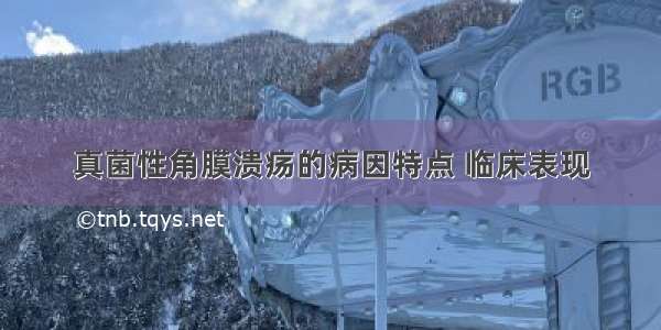 真菌性角膜溃疡的病因特点 临床表现