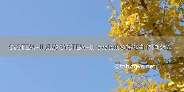 SYSTEM-Ⅱ系统 SYSTEM-Ⅱ system英语短句 例句大全