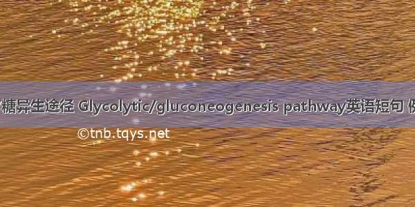 糖解酵/糖异生途径 Glycolytic/gluconeogenesis pathway英语短句 例句大全