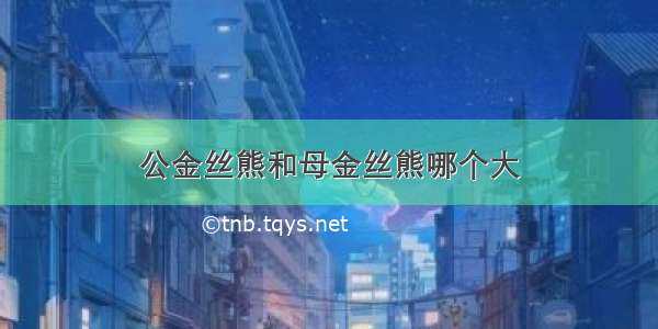 公金丝熊和母金丝熊哪个大