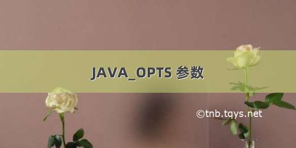 JAVA_OPTS 参数