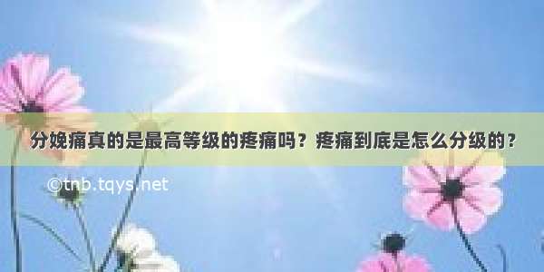 分娩痛真的是最高等级的疼痛吗？疼痛到底是怎么分级的？