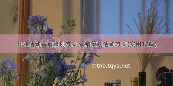 开业活动营销策划方案 营销策划活动方案(实用12篇)