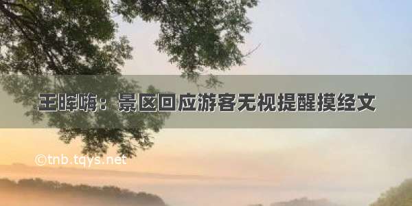 王晖嗨：景区回应游客无视提醒摸经文